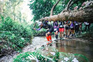 BIB: 
                            <button type="button" onclick="openModal(25465869)" class="btn btn-primary btn-sm float-right btn-popup" data-toggle="modal" data-target=".modal-high-quality">
                        <i class="fas fa-shopping-cart"></i> Add to Cart
                    </button>
                                            <button type="button" onclick="isThisMe(25465869, true)" class="btn btn-success btn-sm float-right btn-popup btn-isme hidden" data-toggle="tooltip" data-placement="bottom" title="นี่คือรูปของคุณใช่ไหม คลิกที่นี่เพื่อเอาเข้าอัลบั้ม">
                        <i class="fas fa-plus"></i> Add to album
                    </button>
                    <button type="button" onclick="isThisMe(25465869, false)" class="btn btn-warning btn-sm float-right btn-popup btn-isnotme hidden">
                        <i class="fas fa-ban"></i> Remove from album
                    </button>